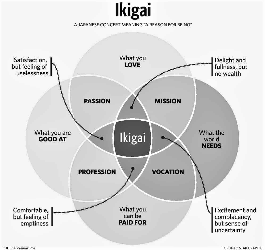 ikigai reason to start a startup