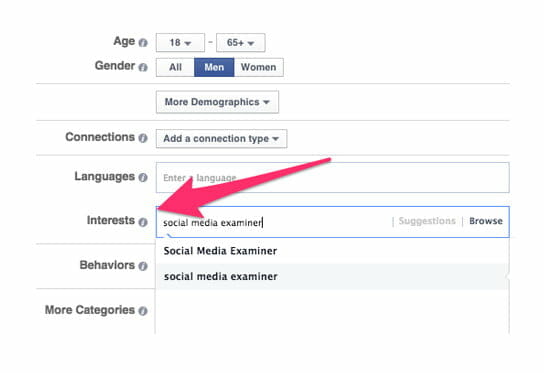 Digital Marketing / Facebook Ad targeting 