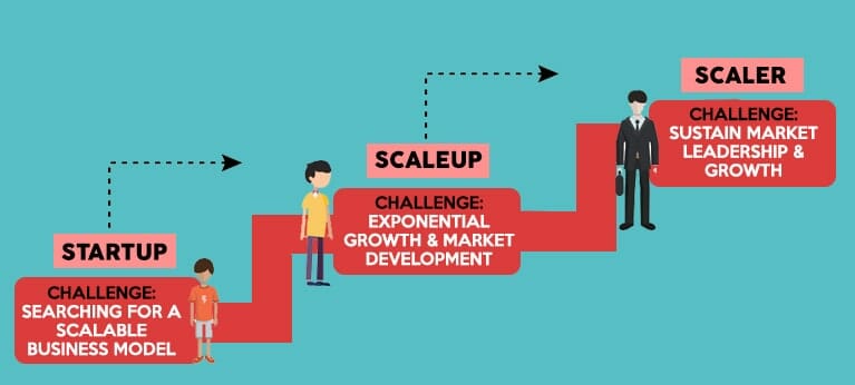 What is a scaleup company