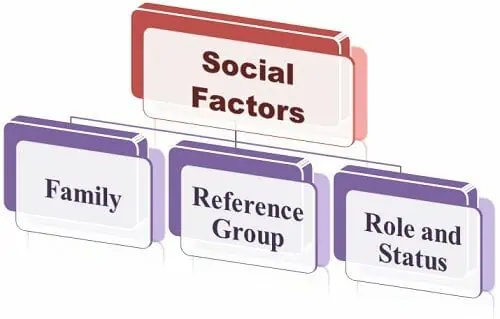Social Factors / Consumer Behaviour