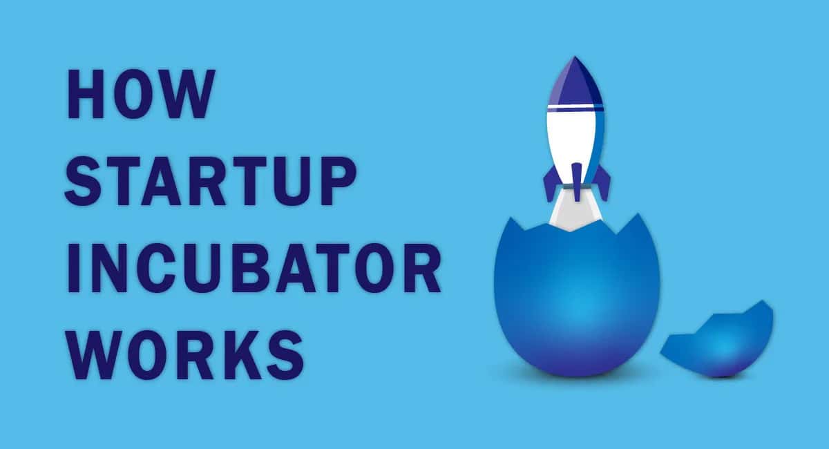 Startup Incubator VS Startup Accelerator: Which Benefits Your Business ...