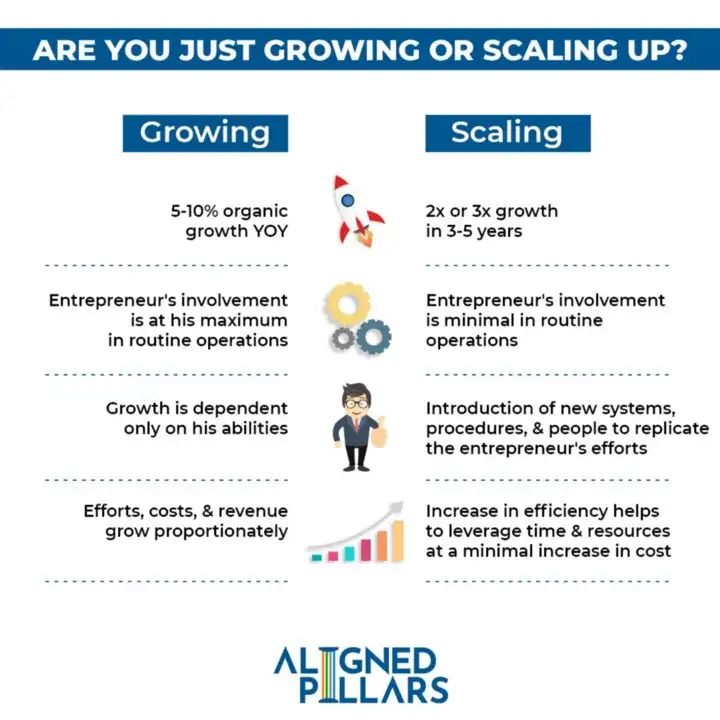Differences between Growth vs Scaling